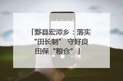 黟县宏潭乡：落实“田长制” 守好良田保“粮仓”
