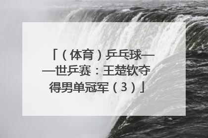 （体育）乒乓球——世乒赛：王楚钦夺得男单冠军（3）