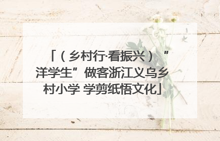 （乡村行·看振兴）“洋学生”做客浙江义乌乡村小学 学剪纸悟文化
