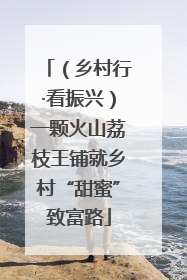 （乡村行·看振兴）一颗火山荔枝王铺就乡村“甜蜜”致富路