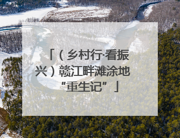 （乡村行·看振兴）赣江畔滩涂地“重生记”