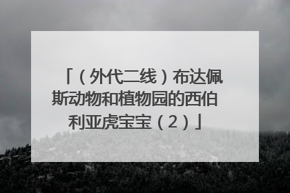 （外代二线）布达佩斯动物和植物园的西伯利亚虎宝宝（2）
