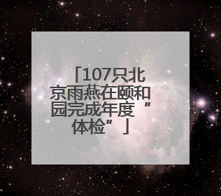 107只北京雨燕在颐和园完成年度“体检”