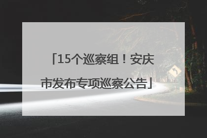 15个巡察组！安庆市发布专项巡察公告