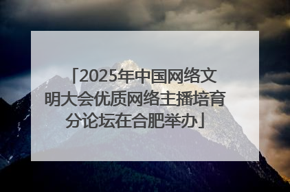 2025年中国网络文明大会优质网络主播培育分论坛在合肥举办