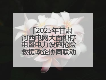 2025年甘肃河西电网大面积停电暨电力设施抢险救援政企协同联动综合应急演练在武威成功举行