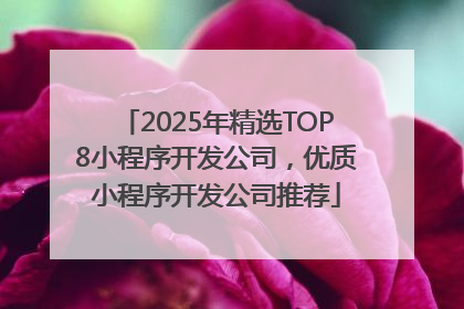 2025年精选TOP8小程序开发公司，优质小程序开发公司推荐