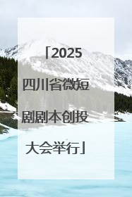 2025四川省微短剧剧本创投大会举行