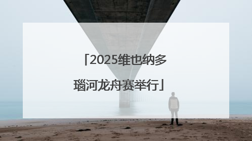 2025维也纳多瑙河龙舟赛举行