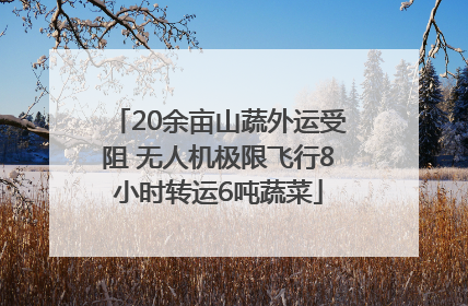 20余亩山蔬外运受阻 无人机极限飞行8小时转运6吨蔬菜
