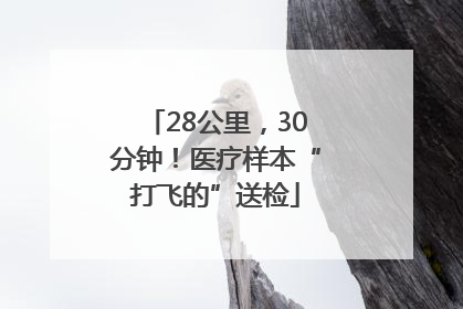 28公里，30分钟！医疗样本“打飞的”送检