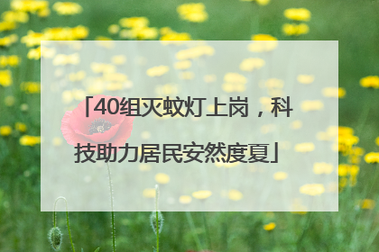 40组灭蚊灯上岗，科技助力居民安然度夏