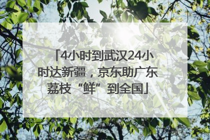 4小时到武汉24小时达新疆，京东助广东荔枝“鲜”到全国