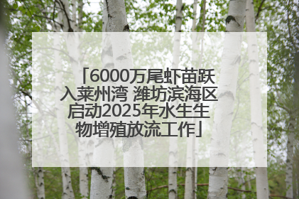 6000万尾虾苗跃入莱州湾 潍坊滨海区启动2025年水生生物增殖放流工作