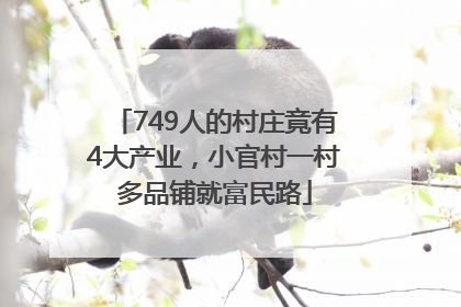 749人的村庄竟有4大产业，小官村一村多品铺就富民路