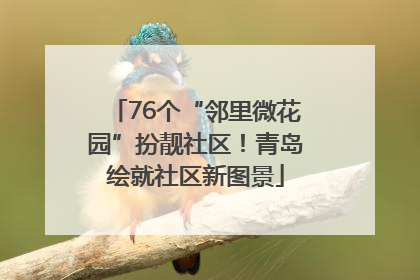 76个“邻里微花园”扮靓社区！青岛绘就社区新图景