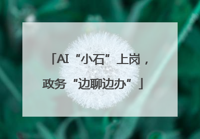 AI“小石”上岗，政务“边聊边办”