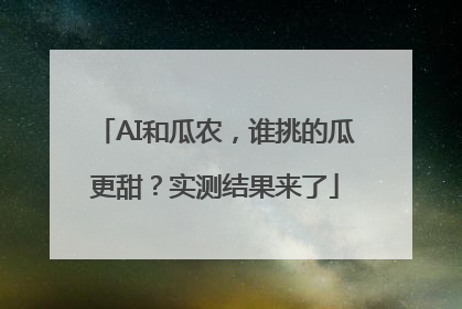 AI和瓜农，谁挑的瓜更甜？实测结果来了
