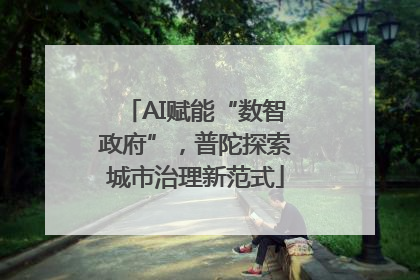 AI赋能“数智政府”，普陀探索城市治理新范式