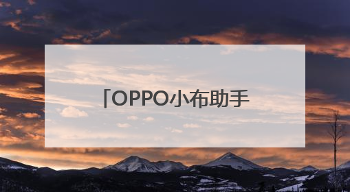 OPPO小布助手月活超1.5亿 一加杯和平精英高校总决赛收官｜通讯Plus·早报