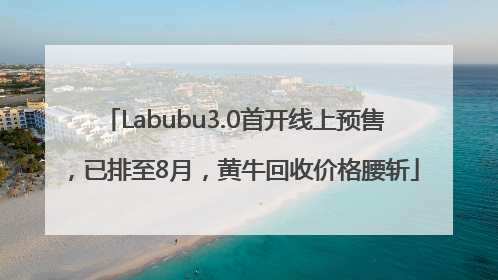 Labubu3.0首开线上预售，已排至8月，黄牛回收价格腰斩