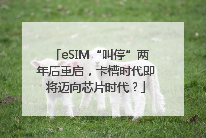 eSIM“叫停”两年后重启，卡槽时代即将迈向芯片时代？